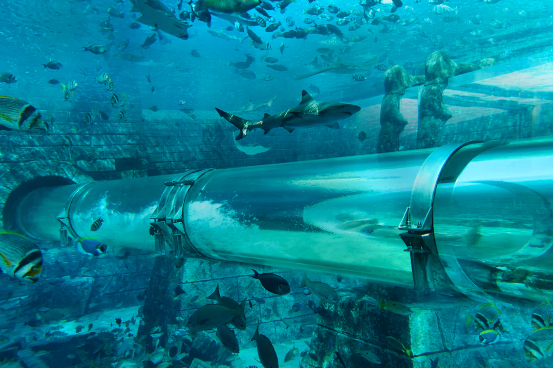 The Lost World Aquarium Tickets (Formerly The Lost Chambers) Price